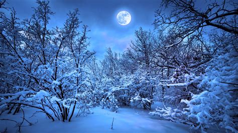 Winter Snow Nature K Wallpaper HD Nature Wallpapers K Wallpapers Images Backgrounds Photos And