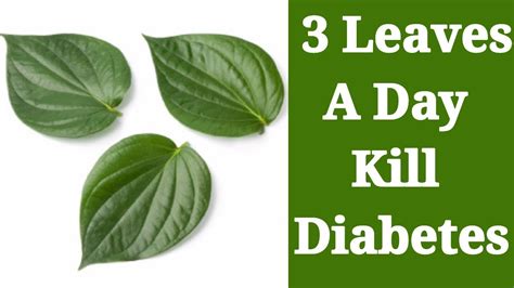 Cure Diabetes With 3 Leaves A Day Naturally At Home Cure Diabetes
