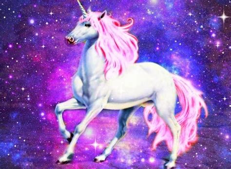 Magical Unicorn Fashion Show