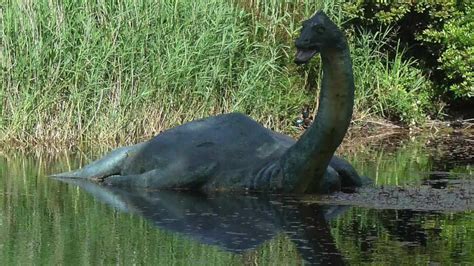 Legend Of Loch Ness Monster Will Be Tested With Dna Samples