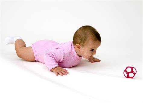 Crawling After Toy Stock Photo Image Of Background Socks 16841360