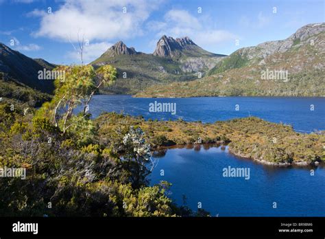 Cradle Mountain And Dove Lake From Glacier Rock Stock Photo Alamy