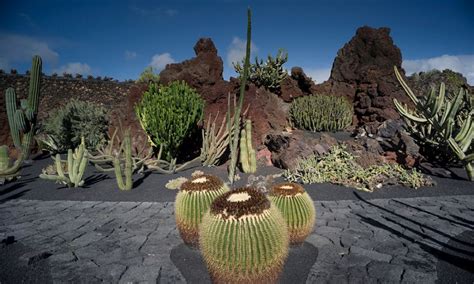 Photos, address, and phone number, opening hours, photos, and user reviews on yandex.maps. Al Jardín de Cactus il Premio Scarpa per il Giardino - Panorama