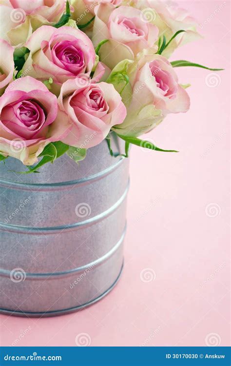 Pink Romantic Roses On Pastel Color Background Stock Photo Image Of