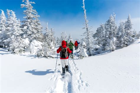 Snowshoeing Your Guide To The Basics Much Better Adventures Magazine