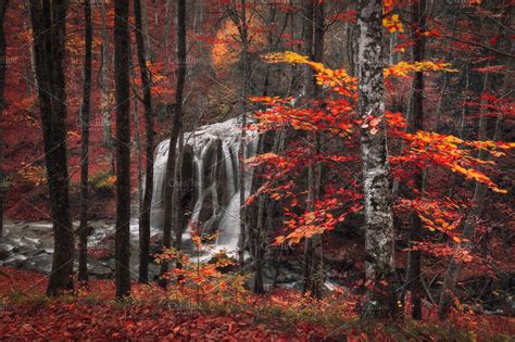 Beautiful Waterfall In Autumn Forest High Quality Nature Stock Photos