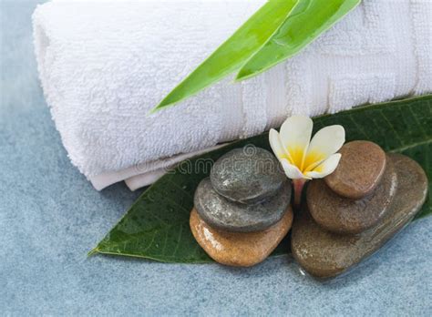 Spa Tropical Flower With Stones For Massage Room Stock Image Image Of Background Health