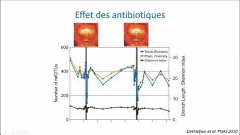 Le Microbiote Intestinal Et Ses D S Quilibres Conf Rence Du Pr Sokol