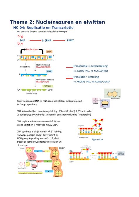 Thema 2 Cel Tot Molecuul Nucleïnezuren En Eiwitten Thema 2