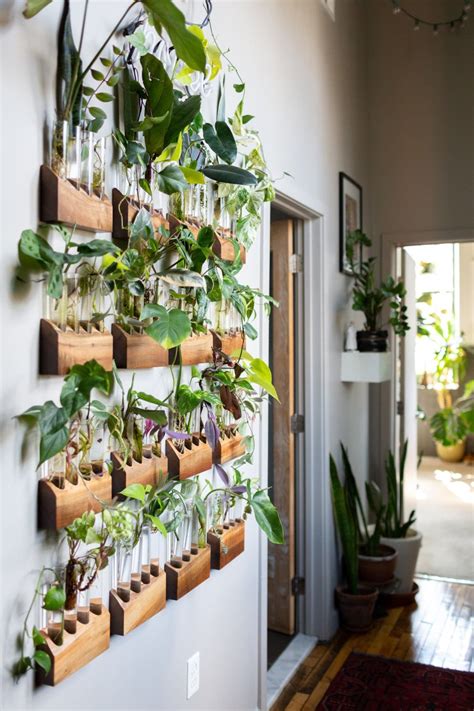 30 original indoor plant decor ideas. The Plant Doctor's Baltimore Home and Studio Are ...