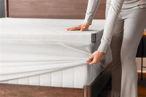 5 Best Mattress Toppers For Back Pain The Lifesciences Magazine