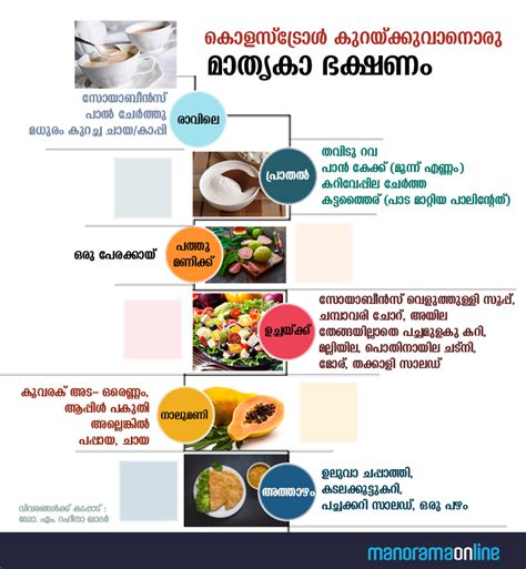 Cholesterol malayalam health tips, foods for reducing cholesterol, cholesterol treatment, diet for cholesterol control karne ka tarika in urdu/hindi | cholesterol symptoms & treatment (latest. കൊളസ്ട്രോൾ നമ്മുടെ ശത്രുവല്ല, മിത്രമാണ് | Diet recipes ...