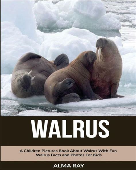 Walrus A Children Pictures Book About Walrus With Fun Walrus Facts And