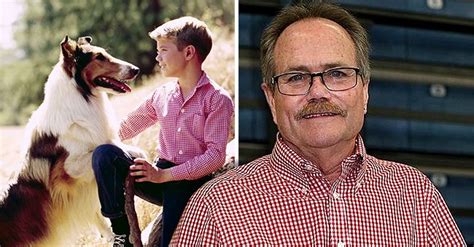 Jon Provost Aka Little Timmy From Lassie Is 70 Years Old Now And Looks Unrecognizable