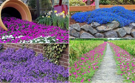 8 Types Of Landscaping Plants That Beautify Spaces And Serve Something