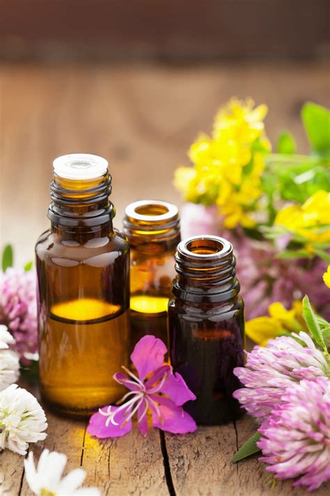 Essential Oils And Their Relaxing Auras Divine Lifestyle