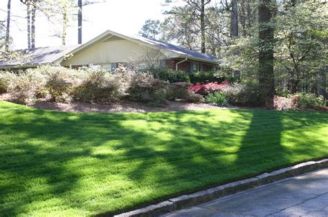Best Tall Fescue Grass Seed To Use Walter Reeves The Georgia Gardener