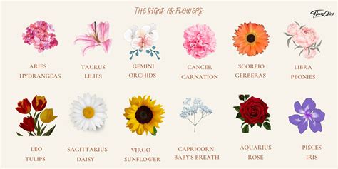 The Perfect Flowers For Each Zodiac Sign