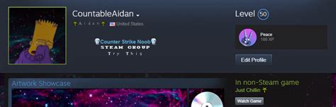 Steam Community Guide Creating A Cool Steam Profile