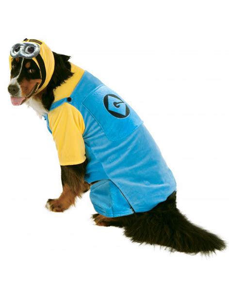 Unleash Your Dogs Inner Minion With These Top 10 Xxl Minion Dog