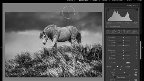 Lightroom Tutorial How To Create Moody Black And White Photos Youtube