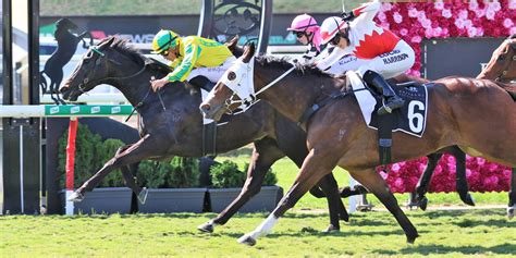 Epic Girl Set To Step Up In 2019 Spirit Of Boom Classic Sports News
