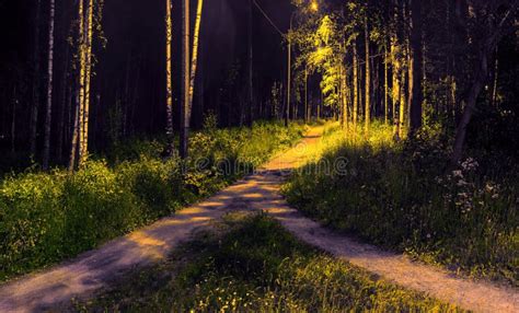 Two Paths In The Darkness Among The Grass And Trees Merged Into One