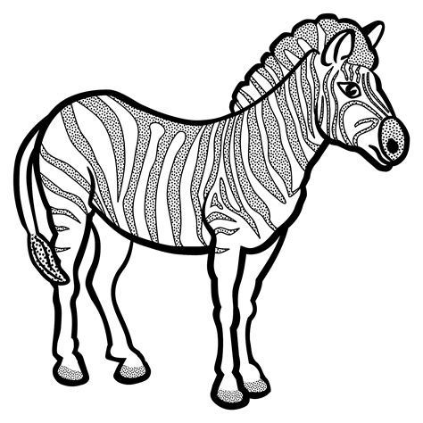 Kleurplaat Van Een Zebra
