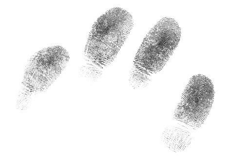 Fingerprint Identification Printed And Digital Forensic Assurance