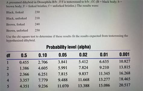 Solved A Presumed Dihybrid In Drosophila Bb Ff Is