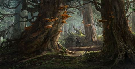 Artstation Forest Environment Concept 2 Sergey Vasnev Fantasy