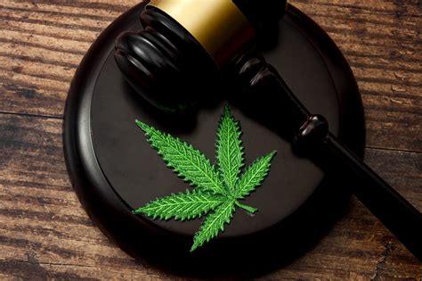 Discrimination Against Cannabis Users Is Forbidden By Law Ncena