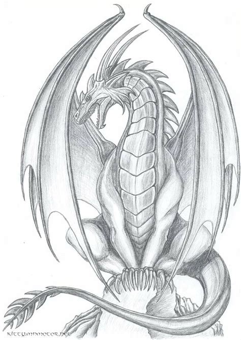 Pencil Drawing Of A Dragon At Explore Collection