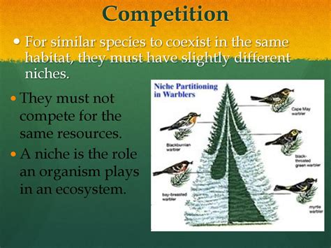 Ecosystem Interactions Ppt Download