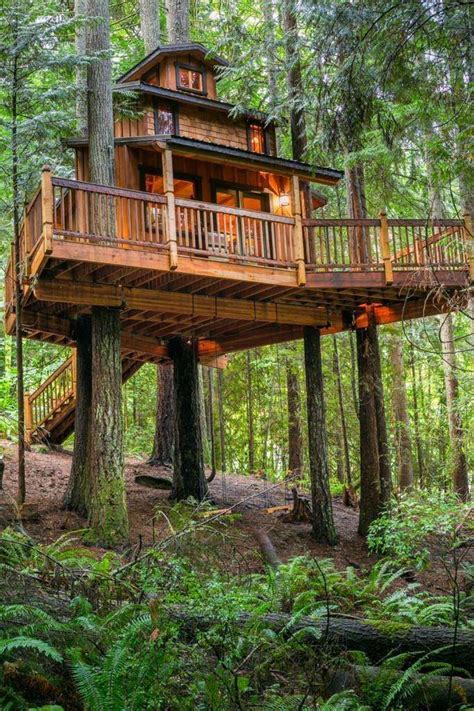 This Gorgeous Tree House Is Our Dream Bunkie Beautiful Tree Houses Tree House Diy Tree House