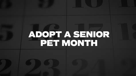 Adopt A Senior Pet Month List Of National Days