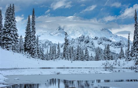 Wallpaper Winter Snow Trees Mountains Lake Ate Mount Rainier