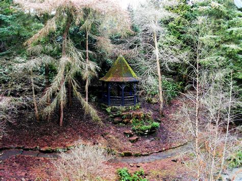 Impreso en papel de arte sin recubrimiento de 350gsm de alta calidad para. Parque da ciudad, Dunfermline ( Escocia) | Paisagens