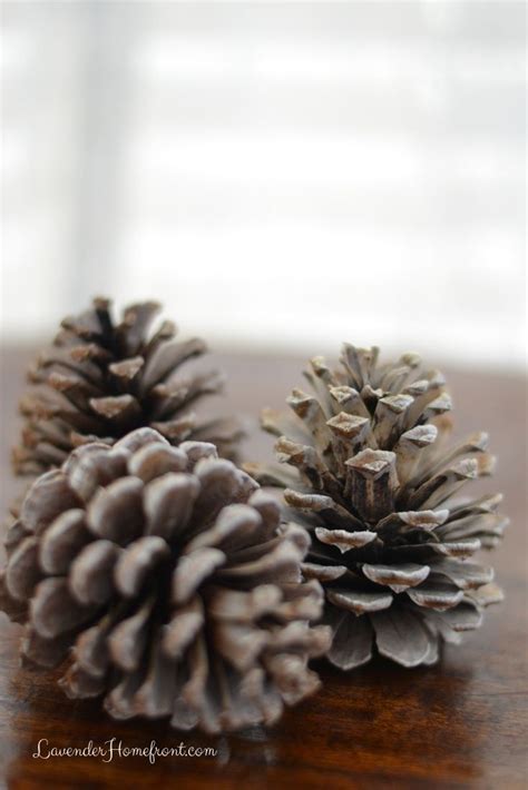 Holiday Pine Cone Centerpiece
