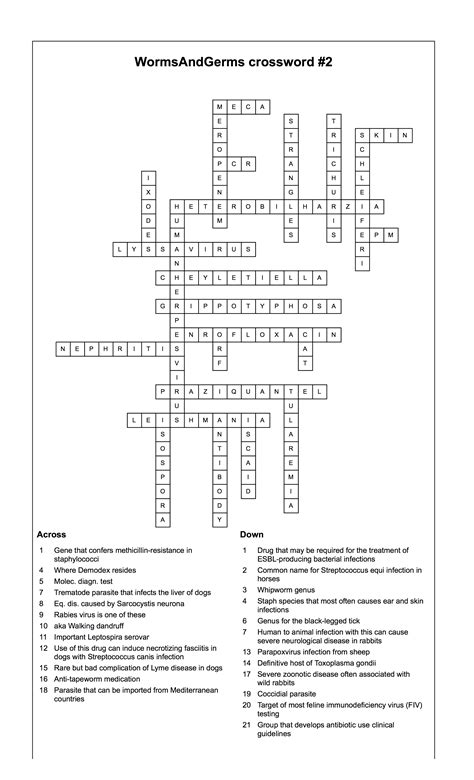 Crossword Puzzles With Answer Key
