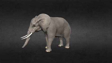 African Elephant Buy Royalty Free 3d Model By Rifat3d 33b4c1d