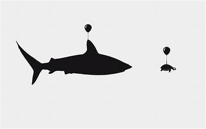 Shark Turtle Funny Desktop Illustration Balloons Whale