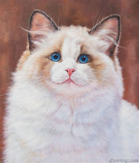 Ragdoll Cat Portrait With Brown Background Oil