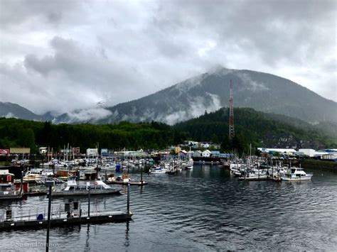 Dive Into The Unexpected A Snorkel Ketchikan Excursion In Alaska