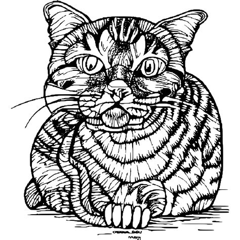 Adorable Cat Coloring Pages · Creative Fabrica