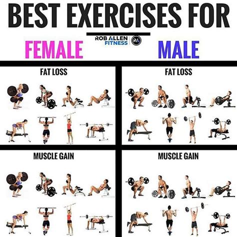 Best Lifting Exercises For Weight Loss
