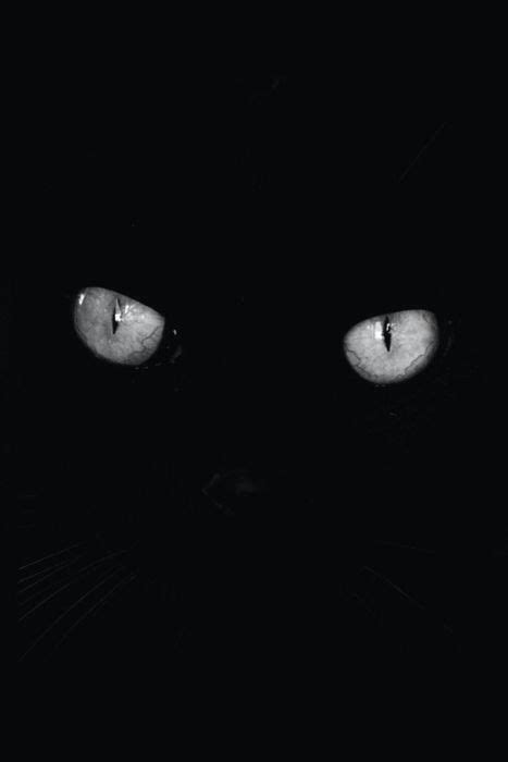Black and white aesthetic mood background black white aesthetic this image is in 367 collections c. Aesthetics Background Black | Wiki | Studying Amino Amino