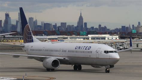 United airlines accepts domesticated dogs, cats. United Airlines Makes Exception to New No Pet Policy (If ...