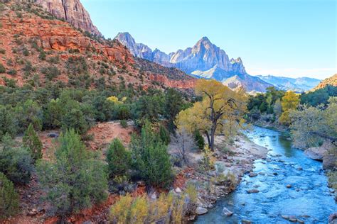 Best Time To See Fall Colors In Zion National Park Ut 2024 Roveme