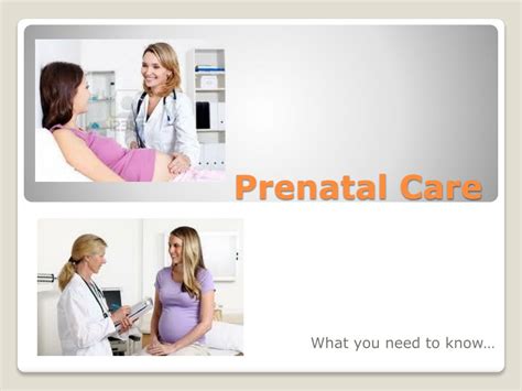Ppt Prenatal Care Powerpoint Presentation Free Download Id2604015